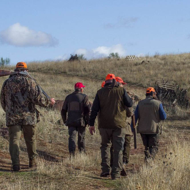 Asso-Chasse