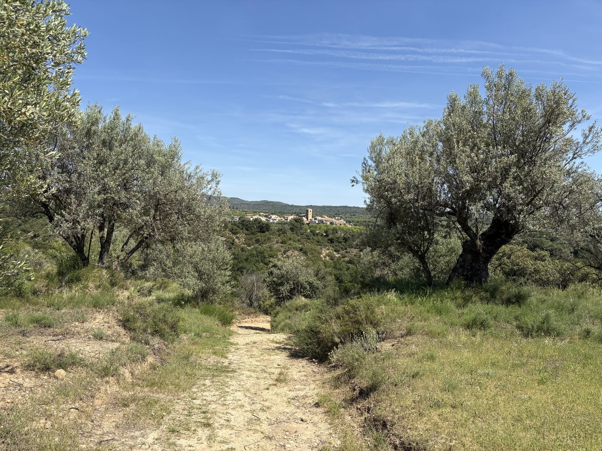 Découvrez en photo le village de Colungo